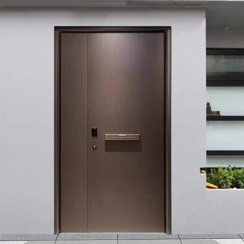 浩天高端入户门