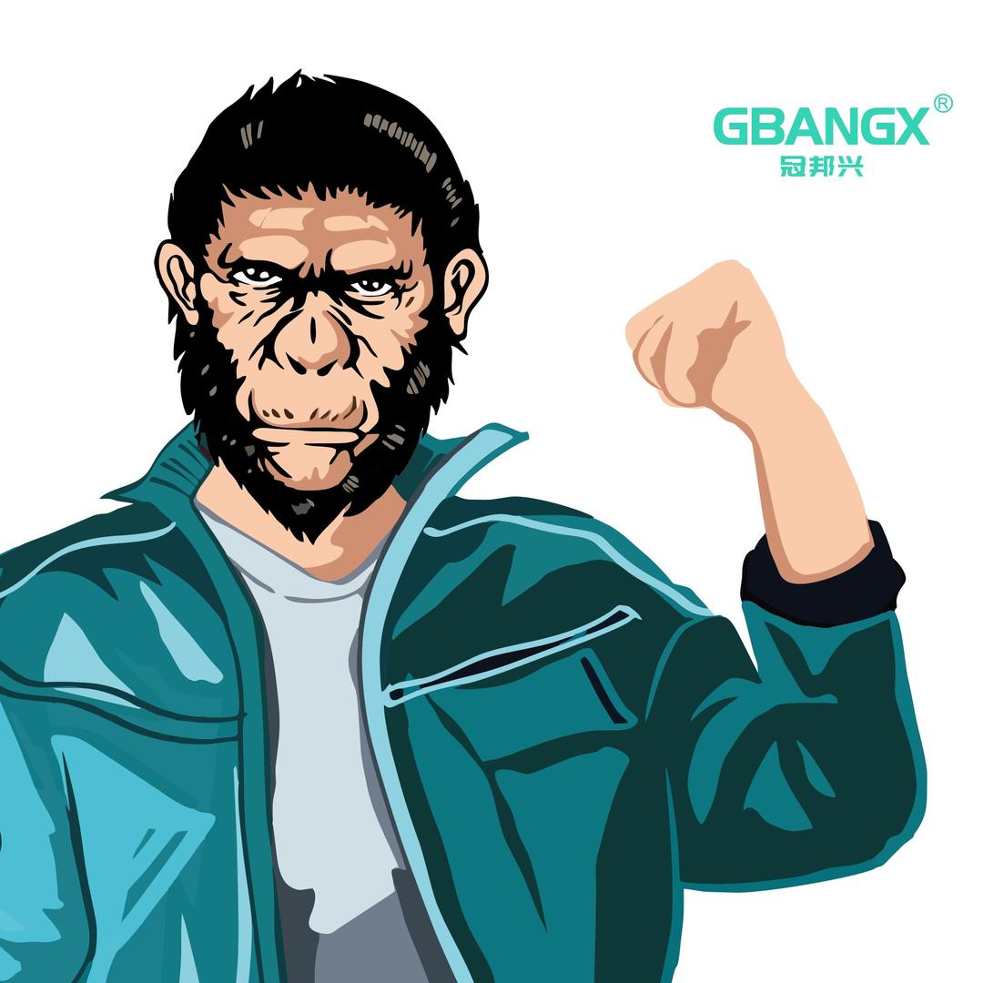 冠邦兴·贤哲通讯(河北大街店)专用号