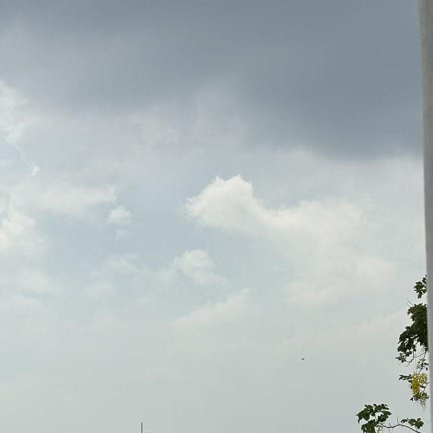 成都体川张刘强直播号