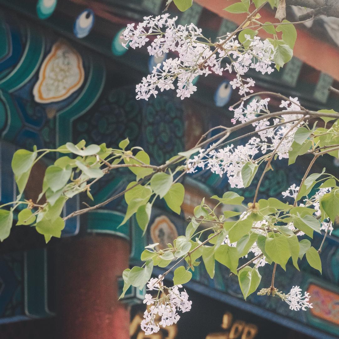 明盈耀