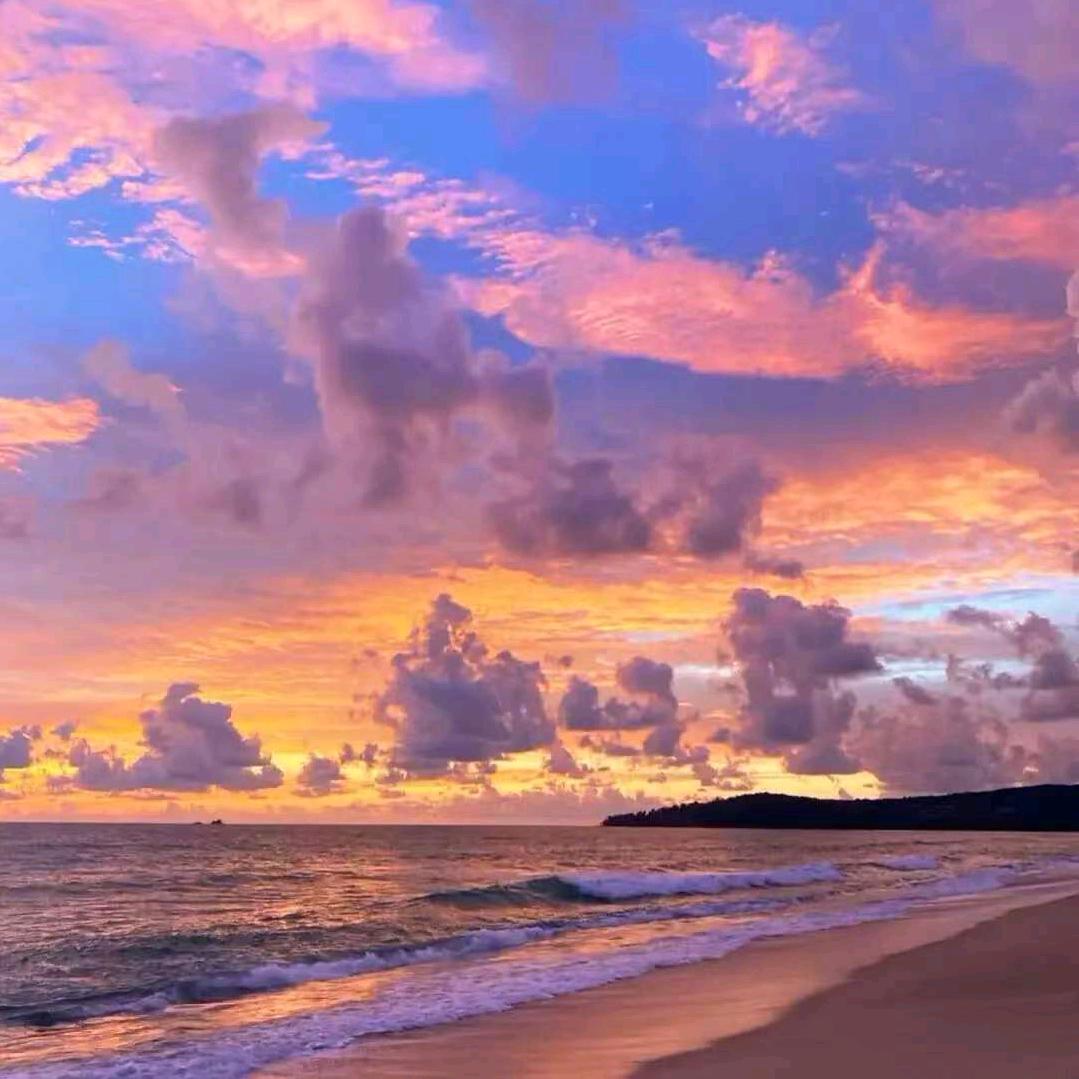 提语娜海棠直播号