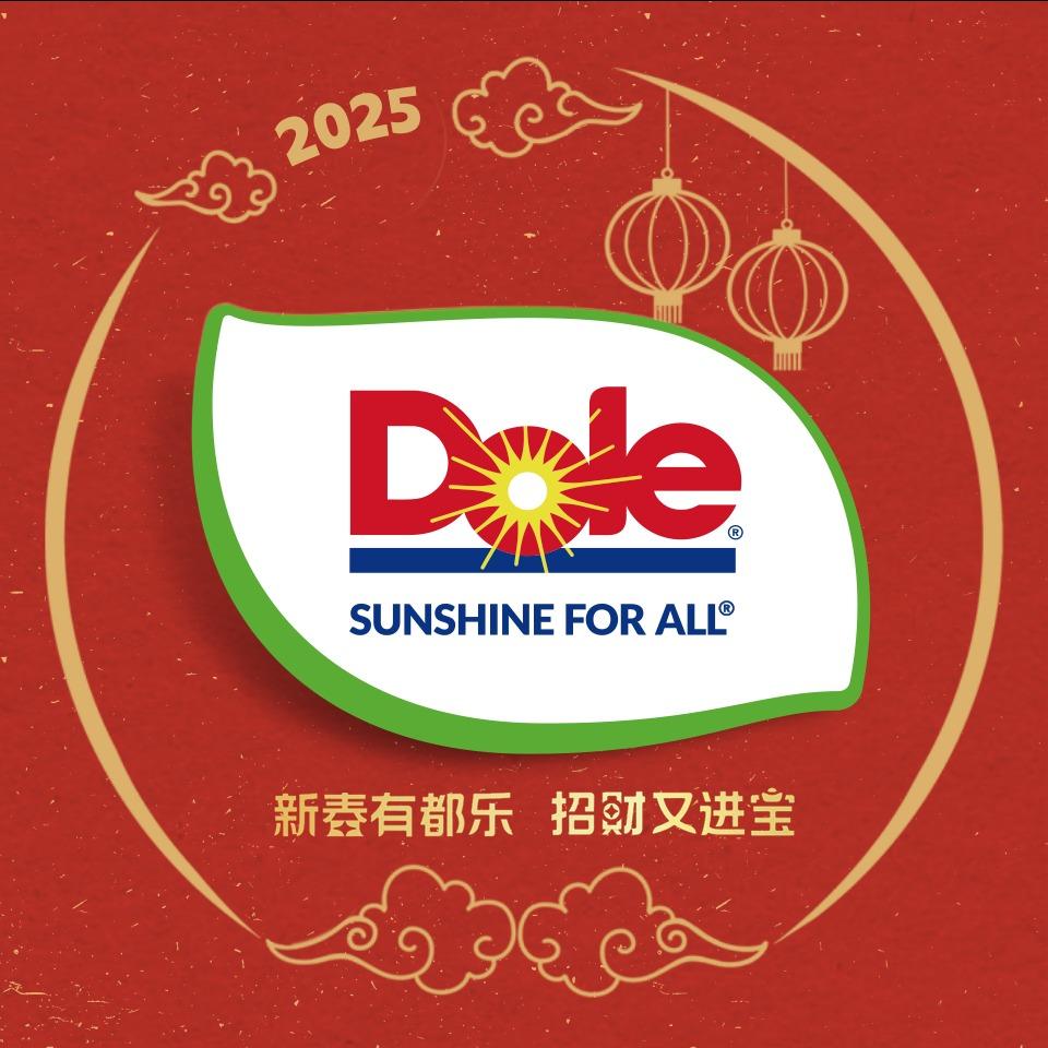 都乐石家庄旗舰店