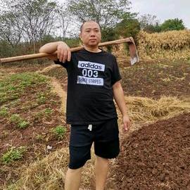 荣昌羊肉汤官方号