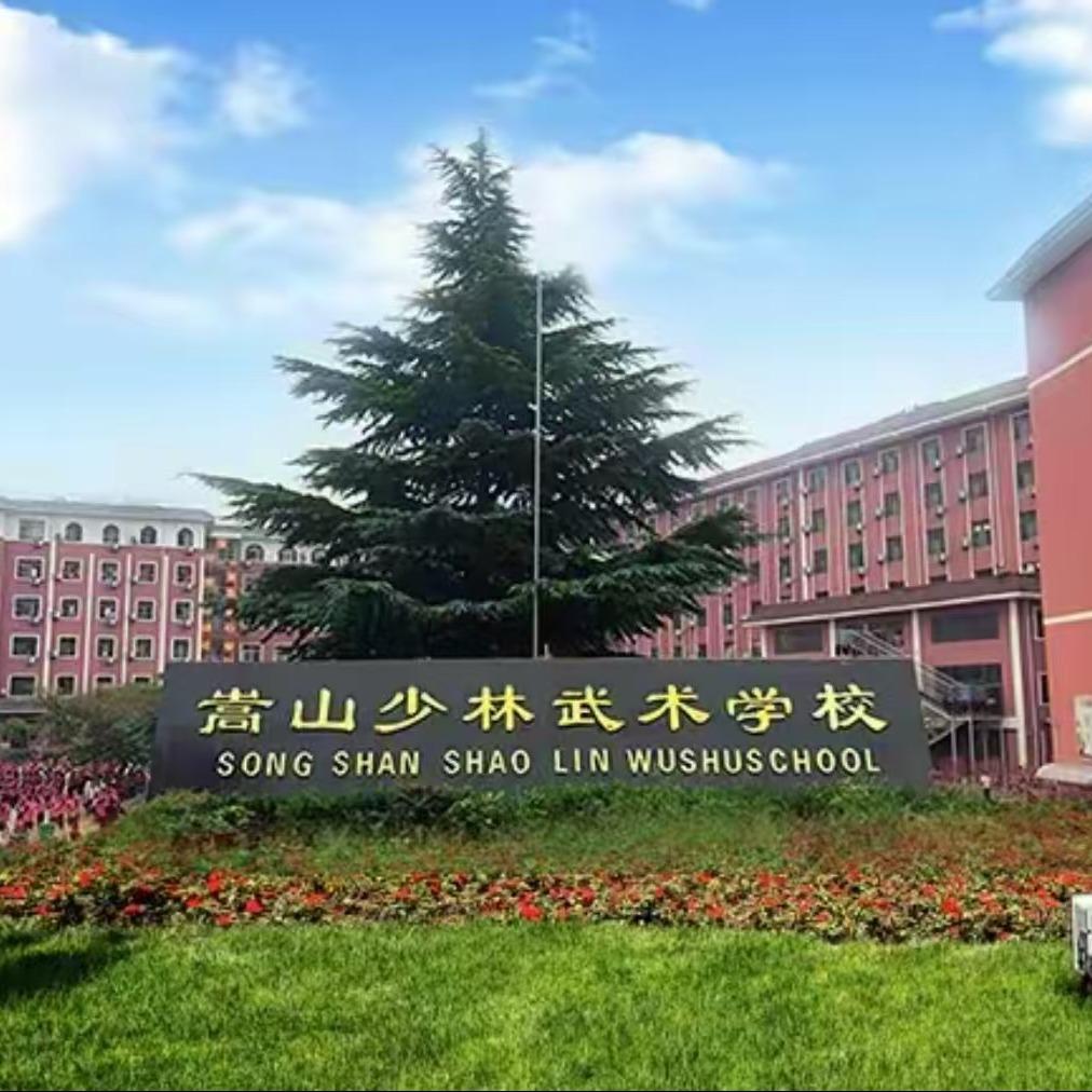 登封嵩山少林学武择校咨询