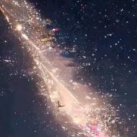 向前传媒直播号