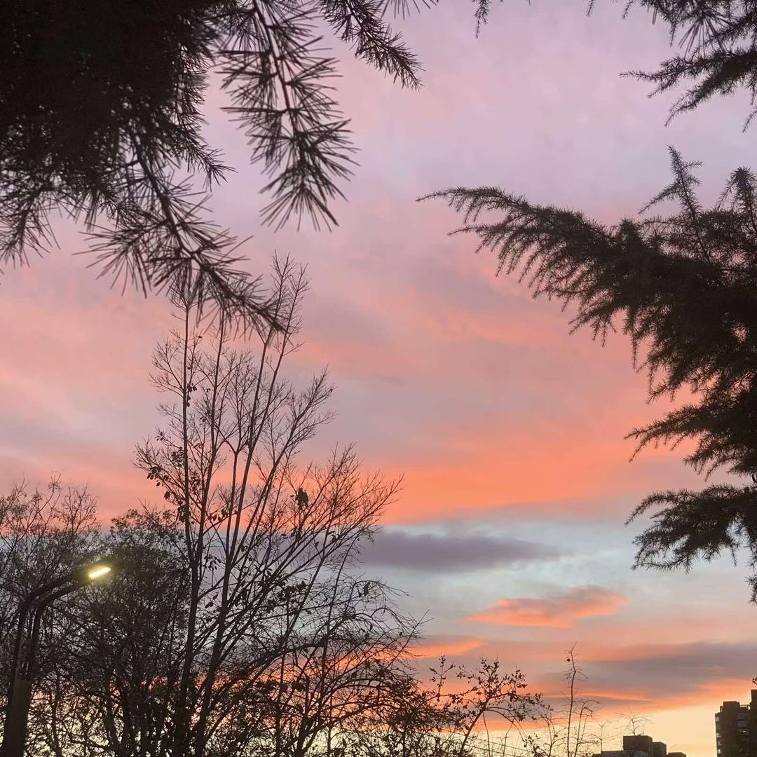 廊坊牛牛健康（廊坊店）-菲菲