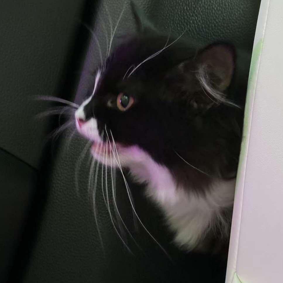 追光汽美工作室