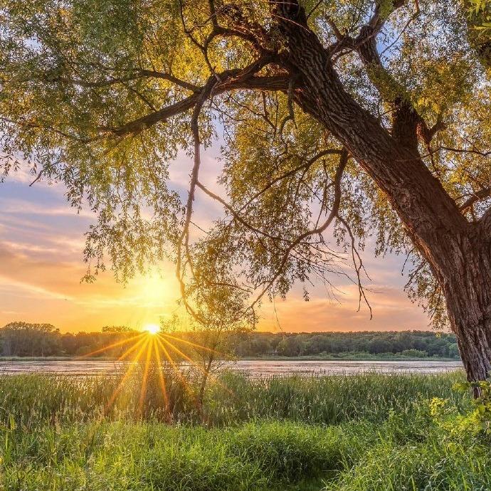 图文智杰传媒直播号