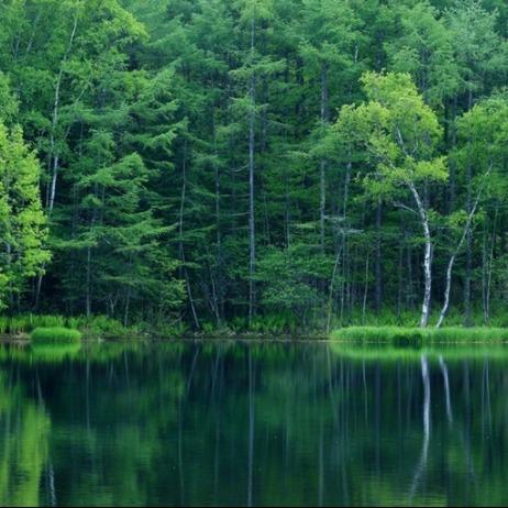 迦南商贸(龙洞步行街店)fff直播号