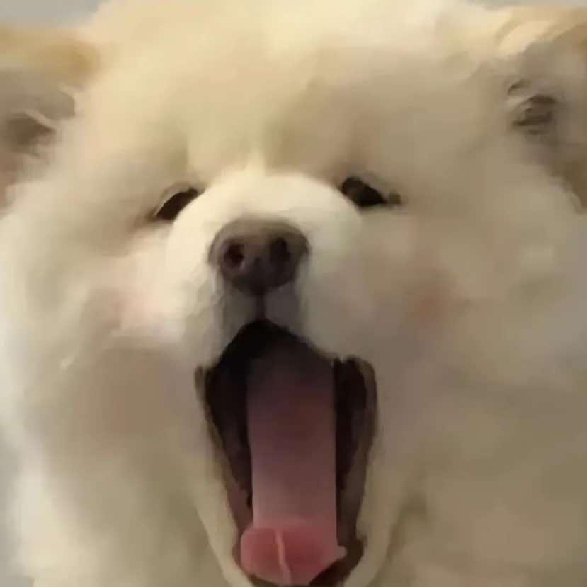 风度接待小李
