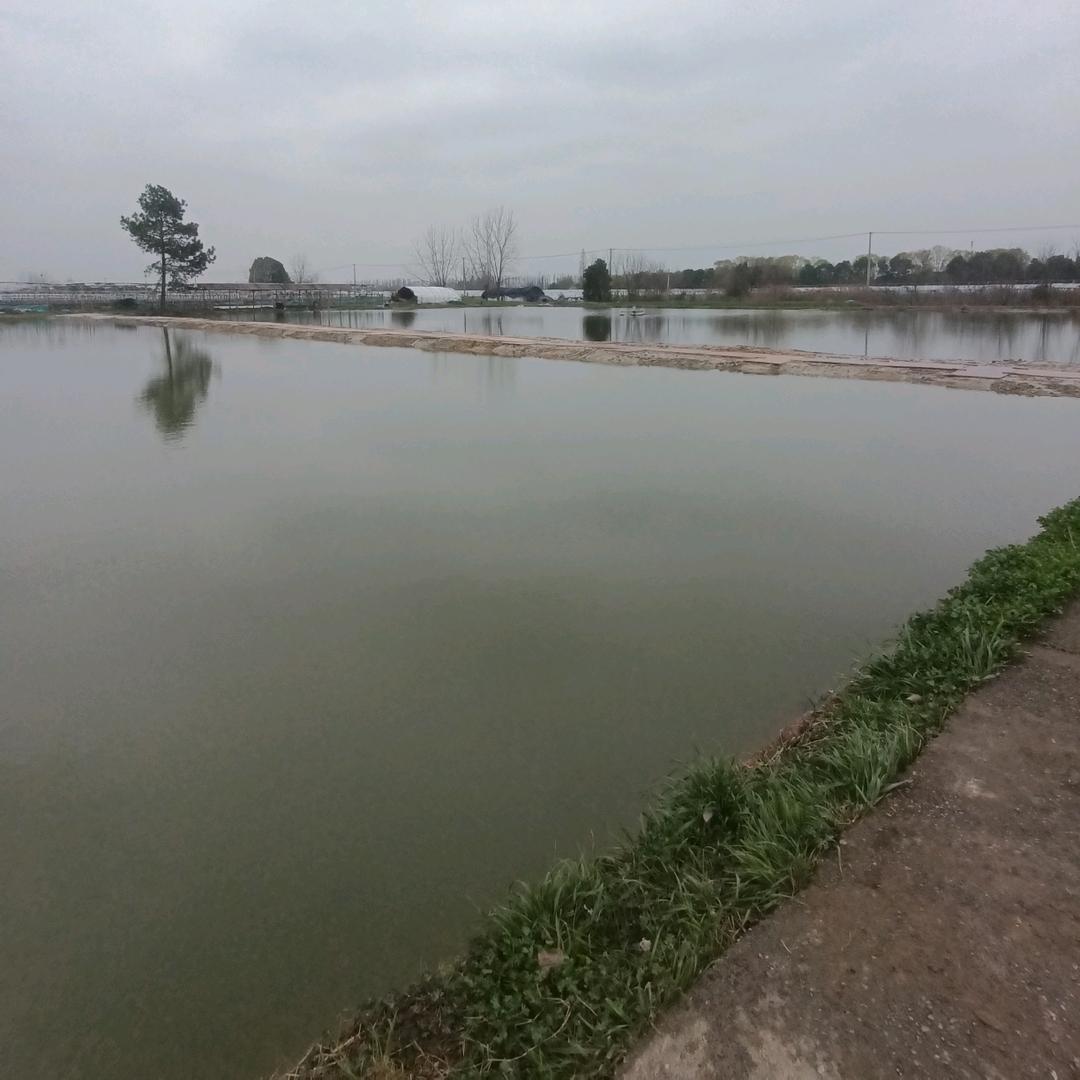 月儿湖休闲钓场