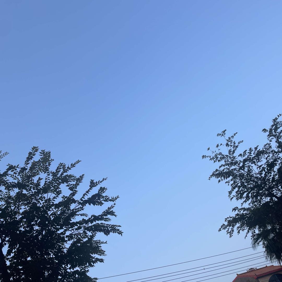 欧林雅·夏娃之秀·慧慧