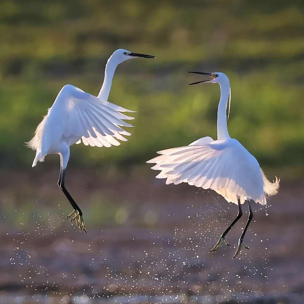 浙房甄选（绍兴）