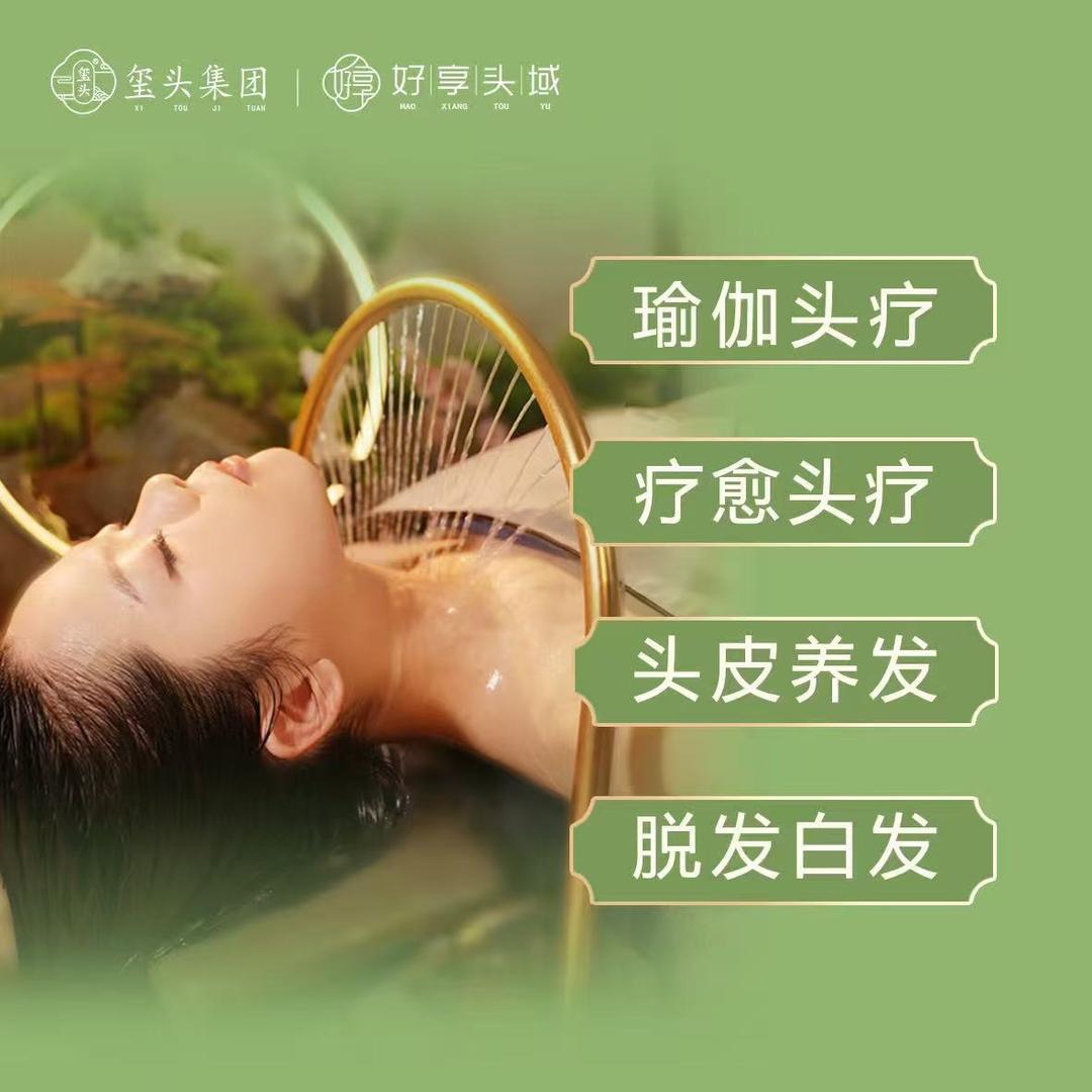 好享头域品牌（官方总账号）