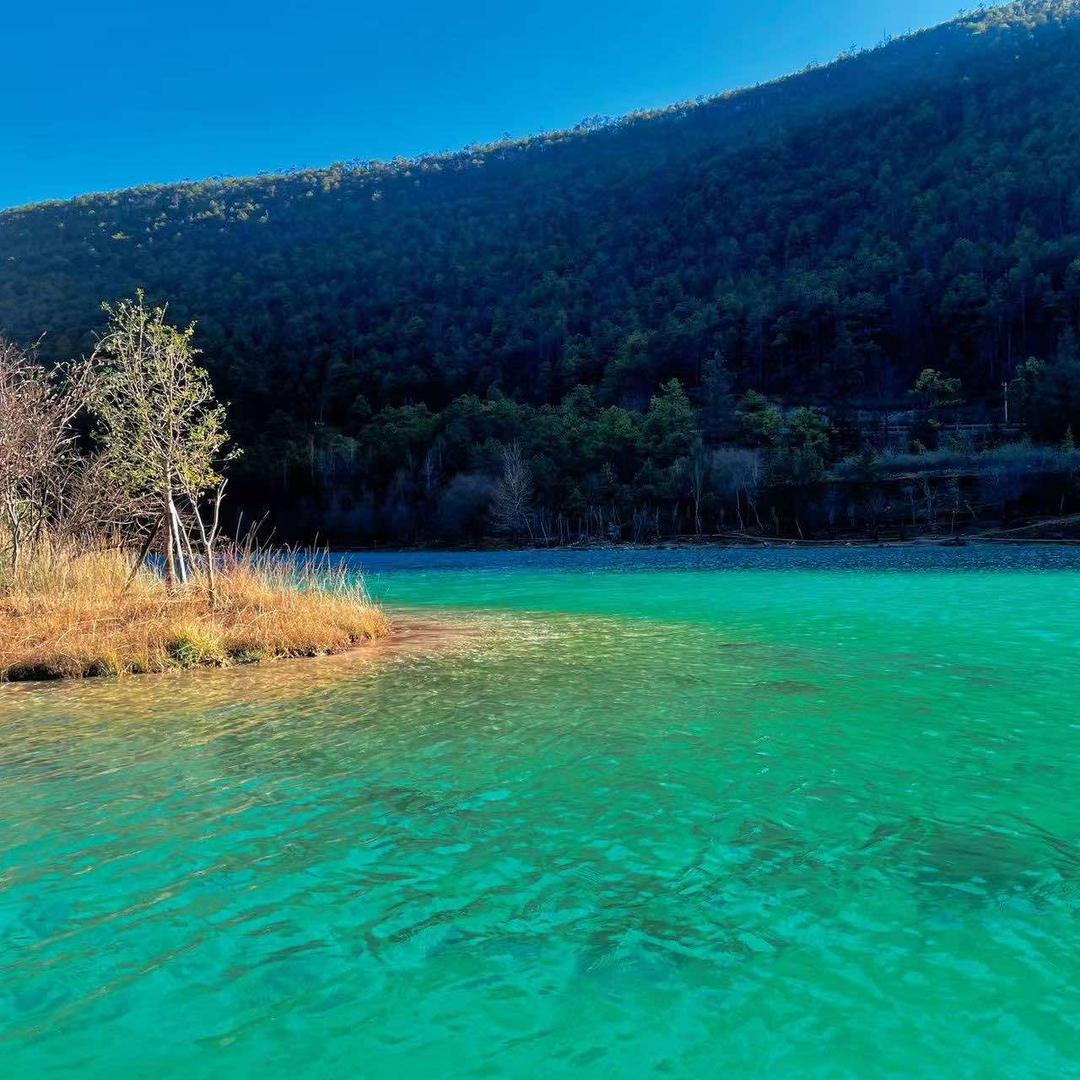 江渭-今天 直播号