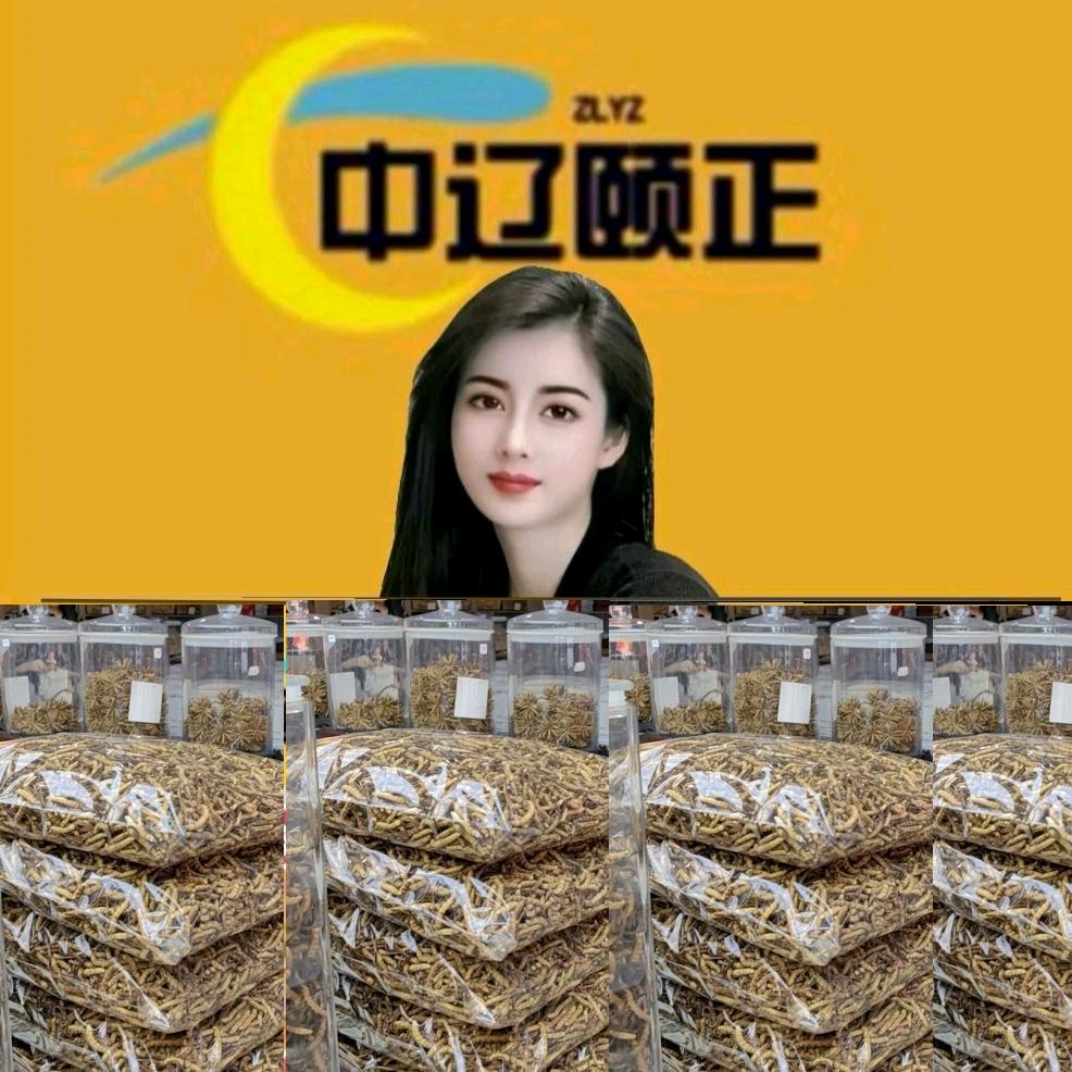 辽宁颐正科技有限公司