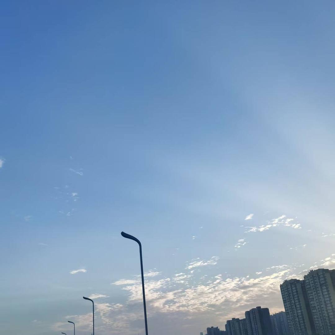c客户号