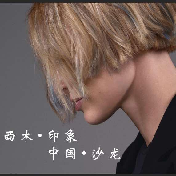 郑州市上街区西木印象美容美发店