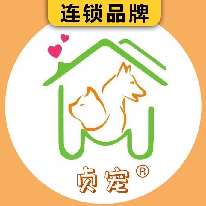 贞宠直播号