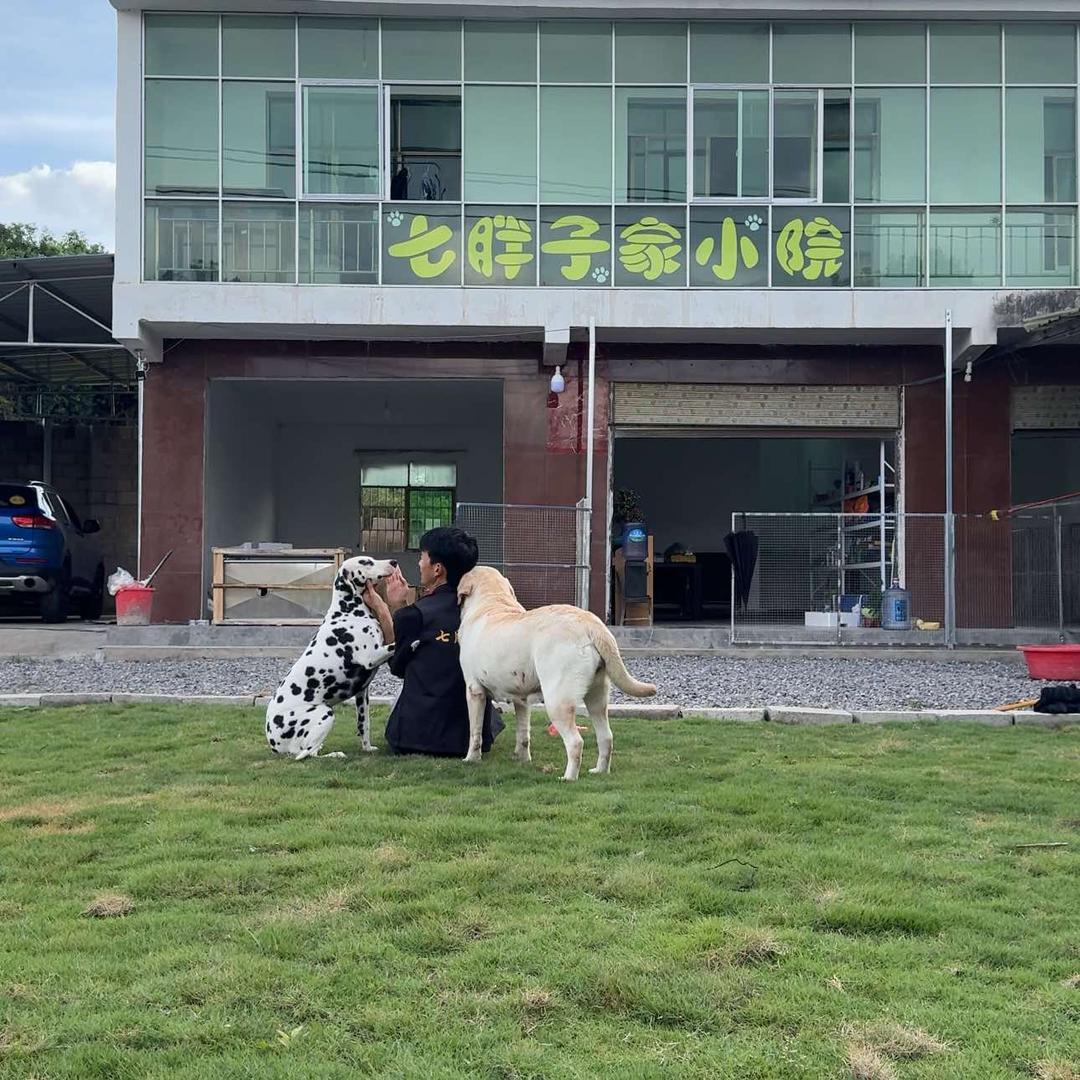 七胖子家宠物寄养小院