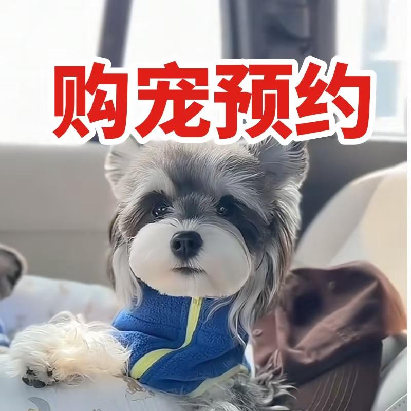 liyingzhe383
