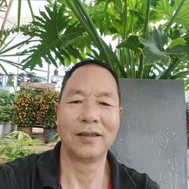1234884626