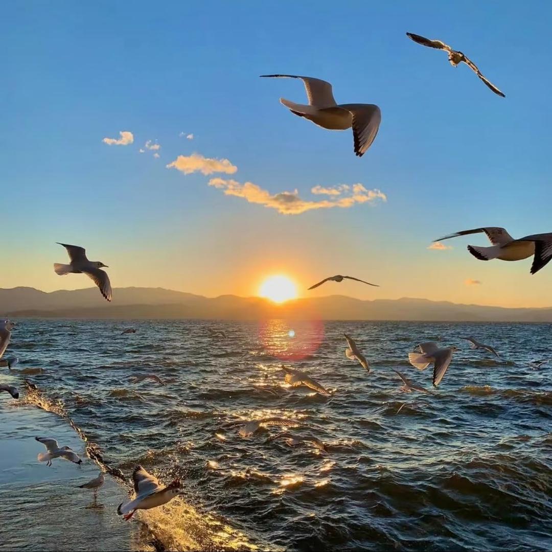 铭人体育直播号