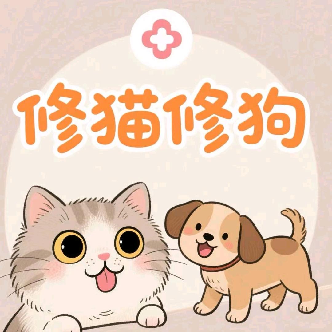 哈尔滨修猫修狗宠物诊所