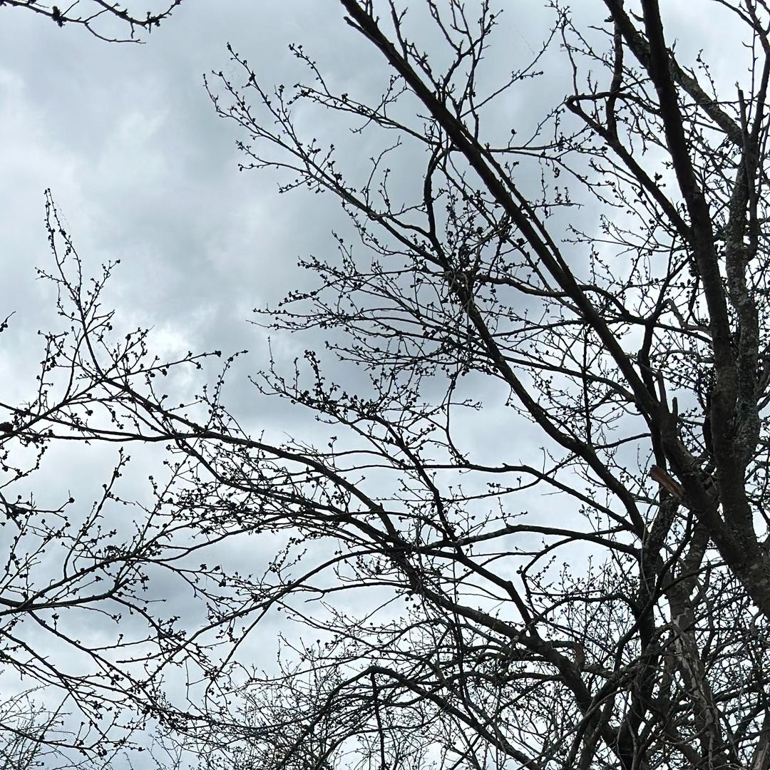 喜锟贸易113总部号