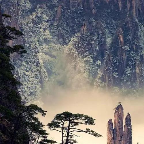 立德直播号