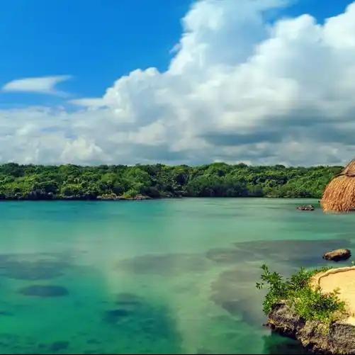 尚独质电子商务的直播号