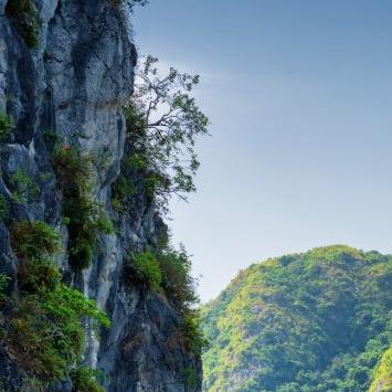 爱依服(X435店)爱依服(X435店)