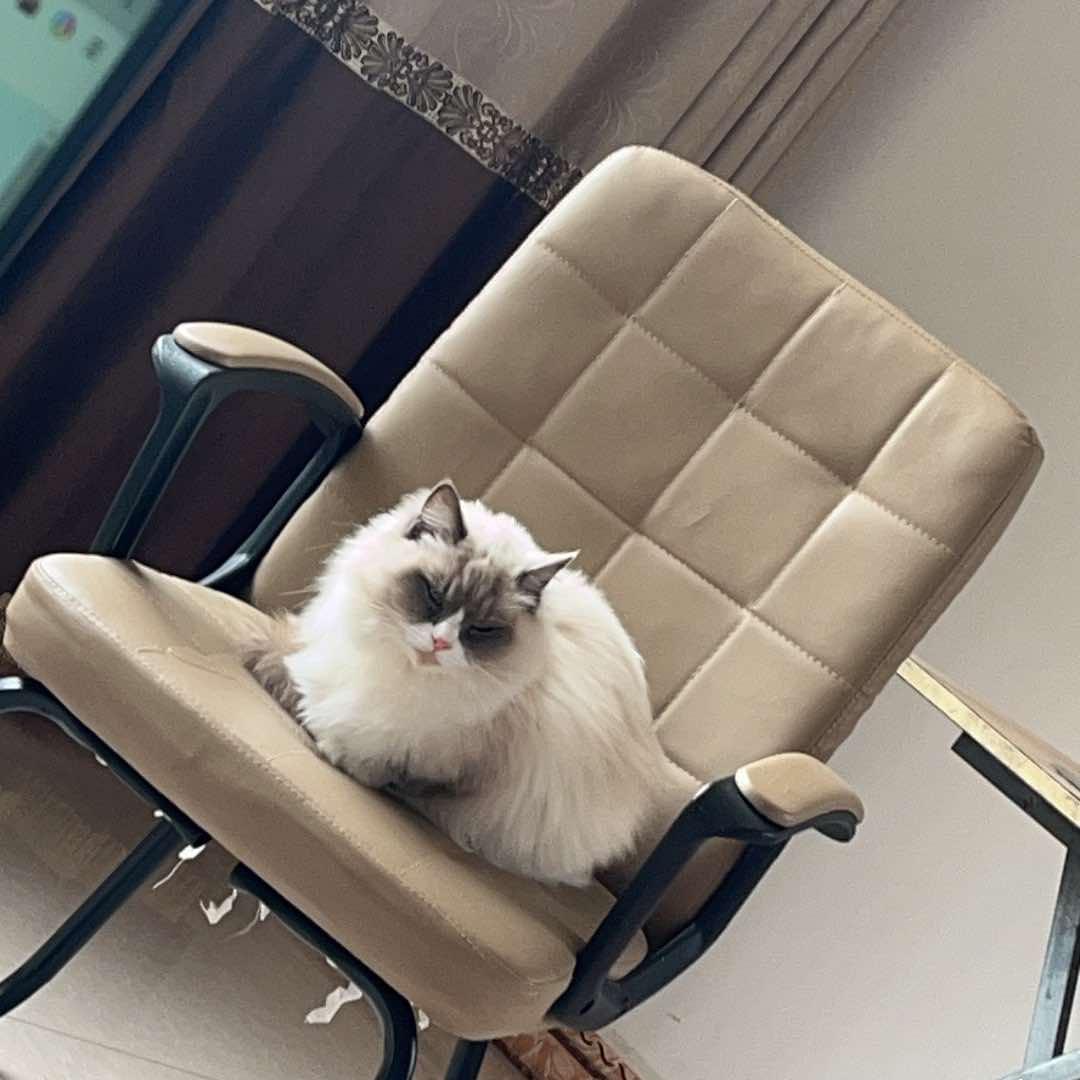 元族秘籍直播号