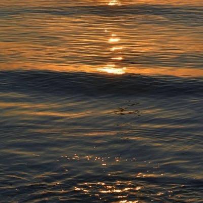 宏发便利思伍直播号