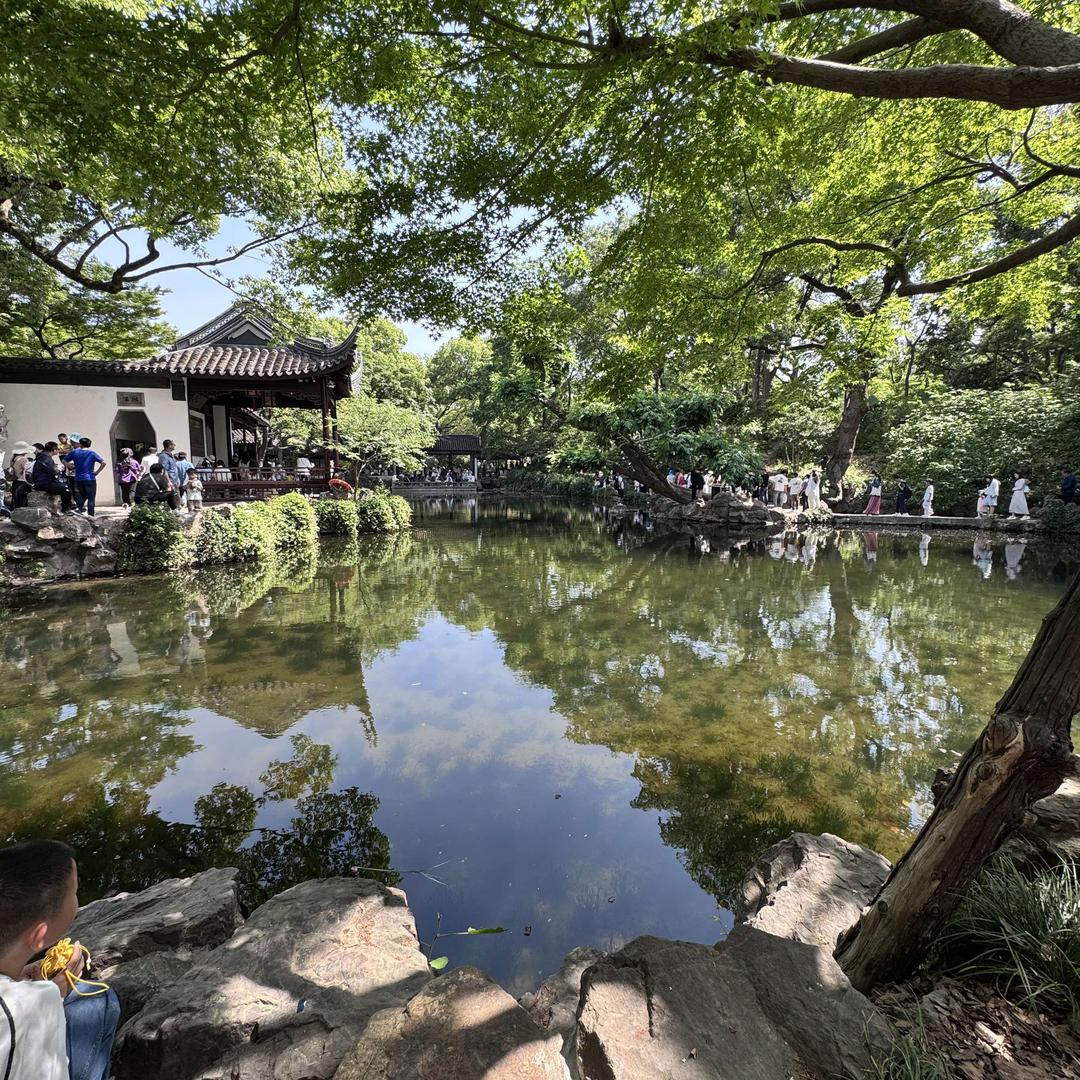 泽纳优选