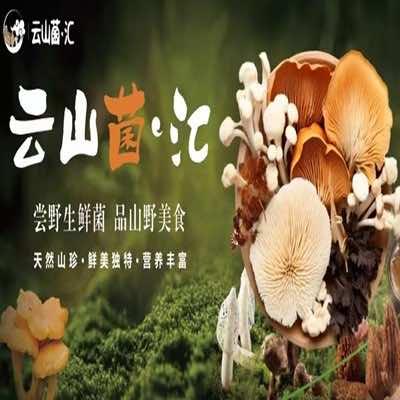 云山菌·汇(润达店)官方号