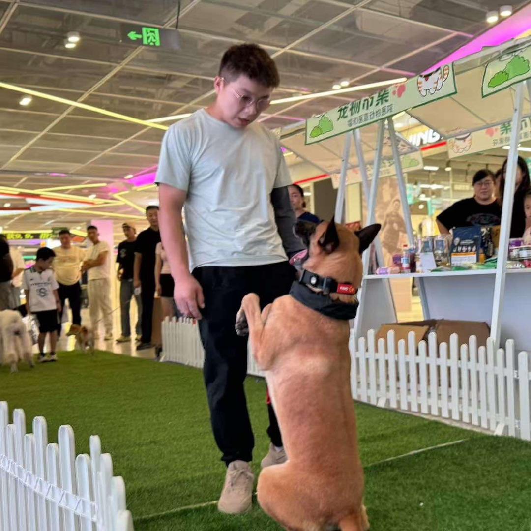 喀什萬慕训犬俱乐部