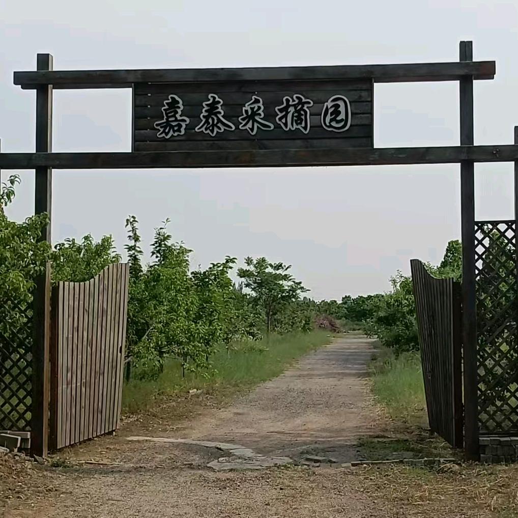 嘉泰樱桃采摘园