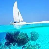 广州夕优敏敏直播号