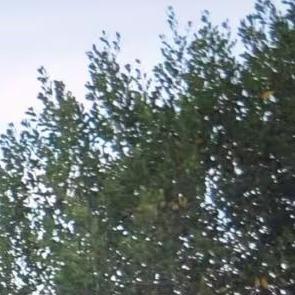 八号广州与米物业管理直播号