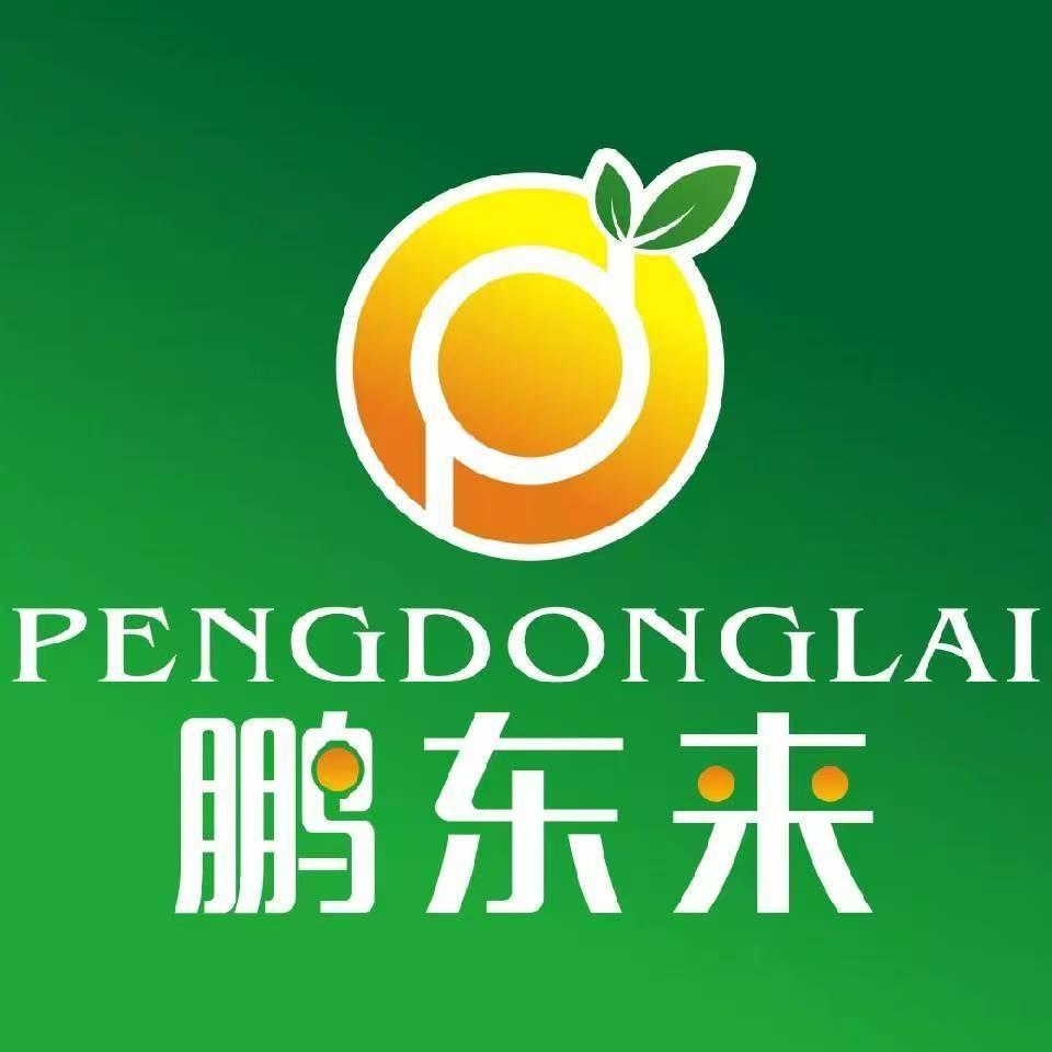 鹏东来
