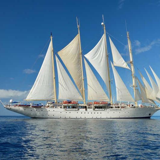 一帆风顺的直播号