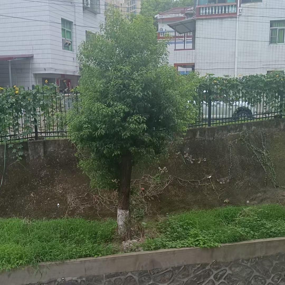 家谊百货官方号