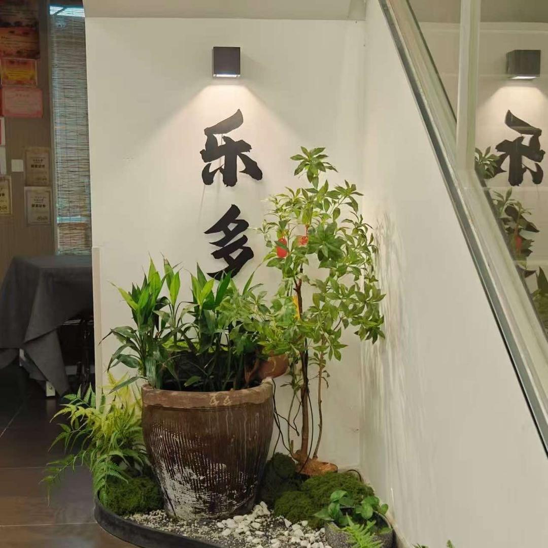 乐多美术官方号