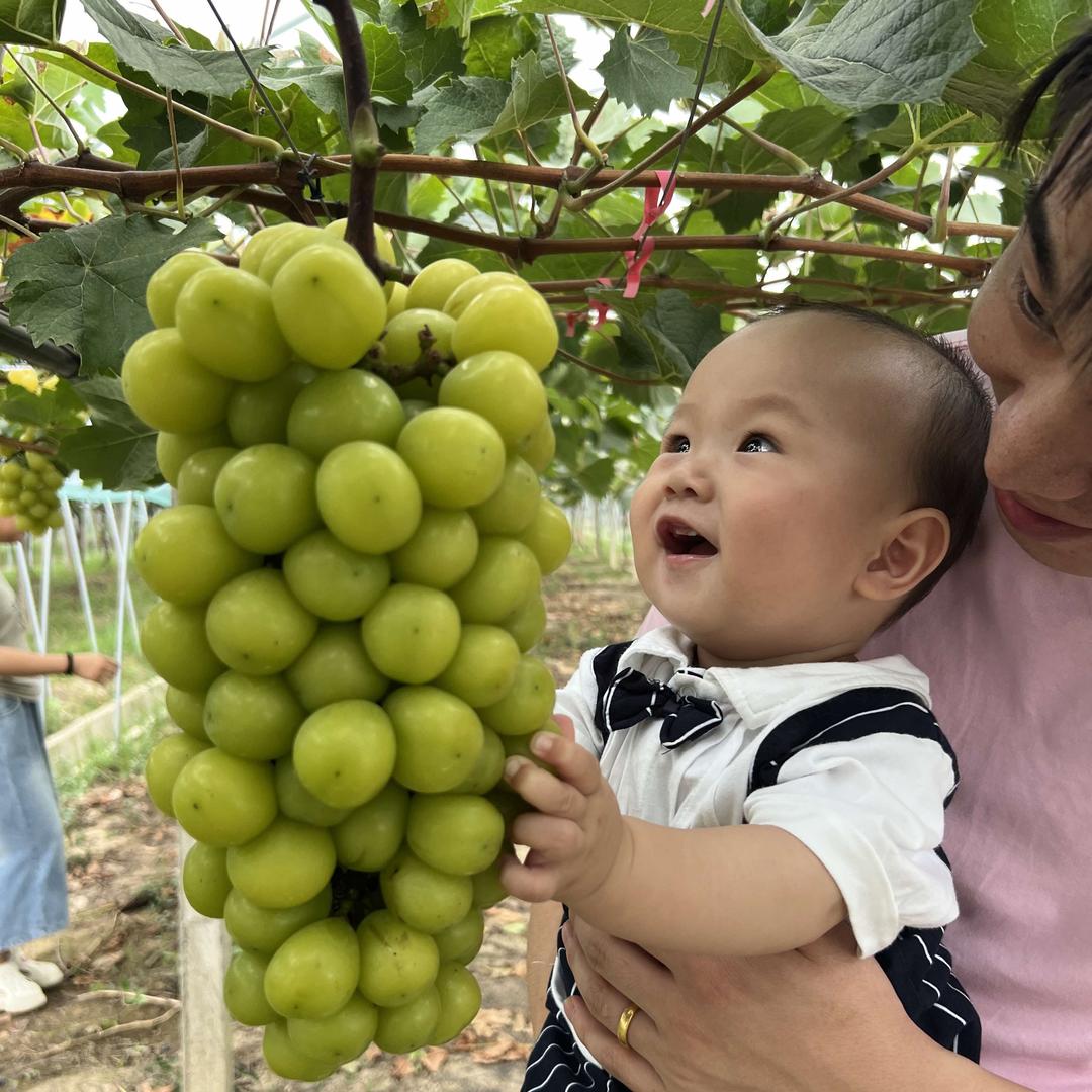 叶集哎吖鲜果（壹号院店）果当选