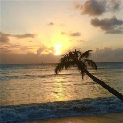 徐福记·虹桥喜铺官方号