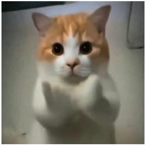 义父
