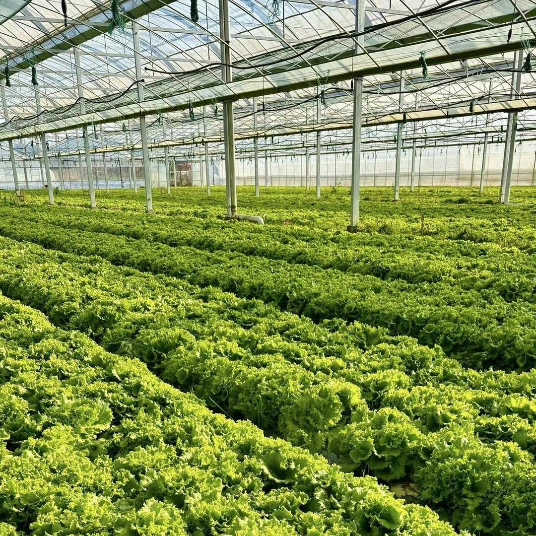 郑州柯凡商贸有限公司直播号