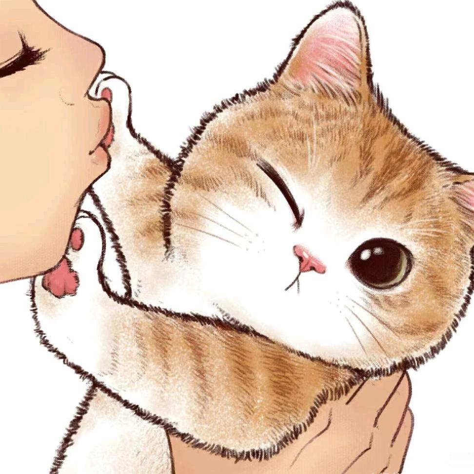 新疆汪小喵萌宠生活馆