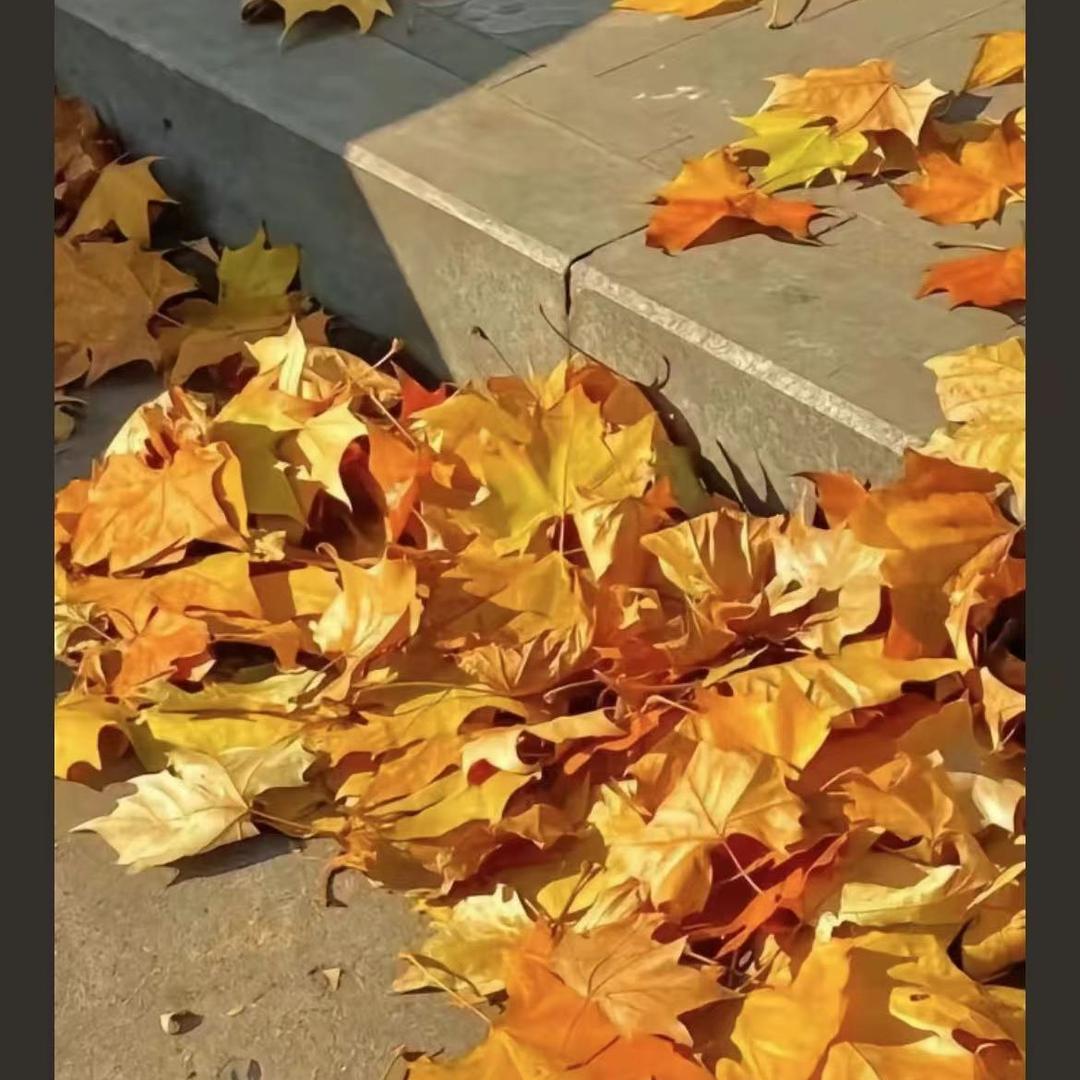 秋雨秋明传媒号